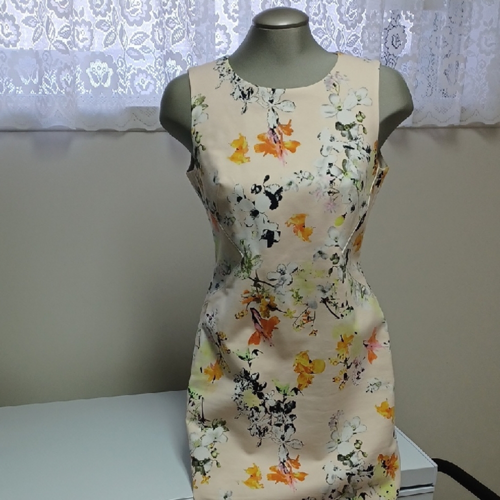 NWT Dalia Colletion Floral Dress Size 8